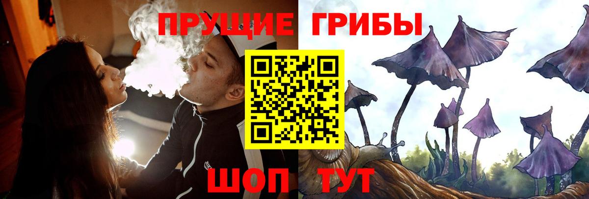 Псилоцибиновые грибы мухоморы Сыктывкар